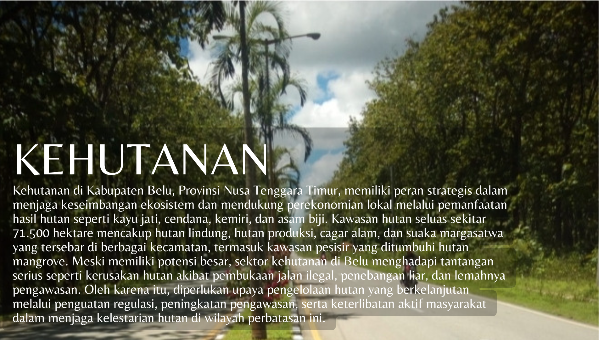 Green Simple World Forestry Day Presentation