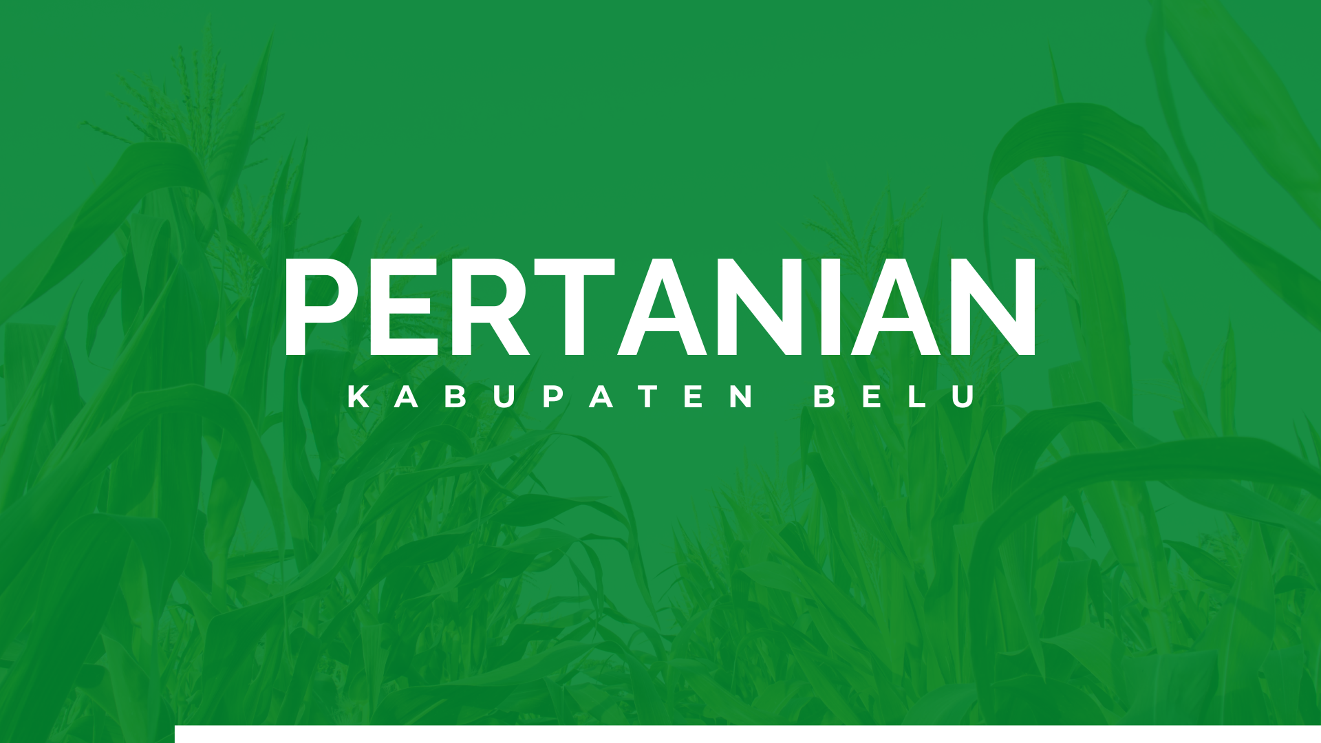 Hijau Kuning Profesional Profil Perusahaan Pertanian Presentasi