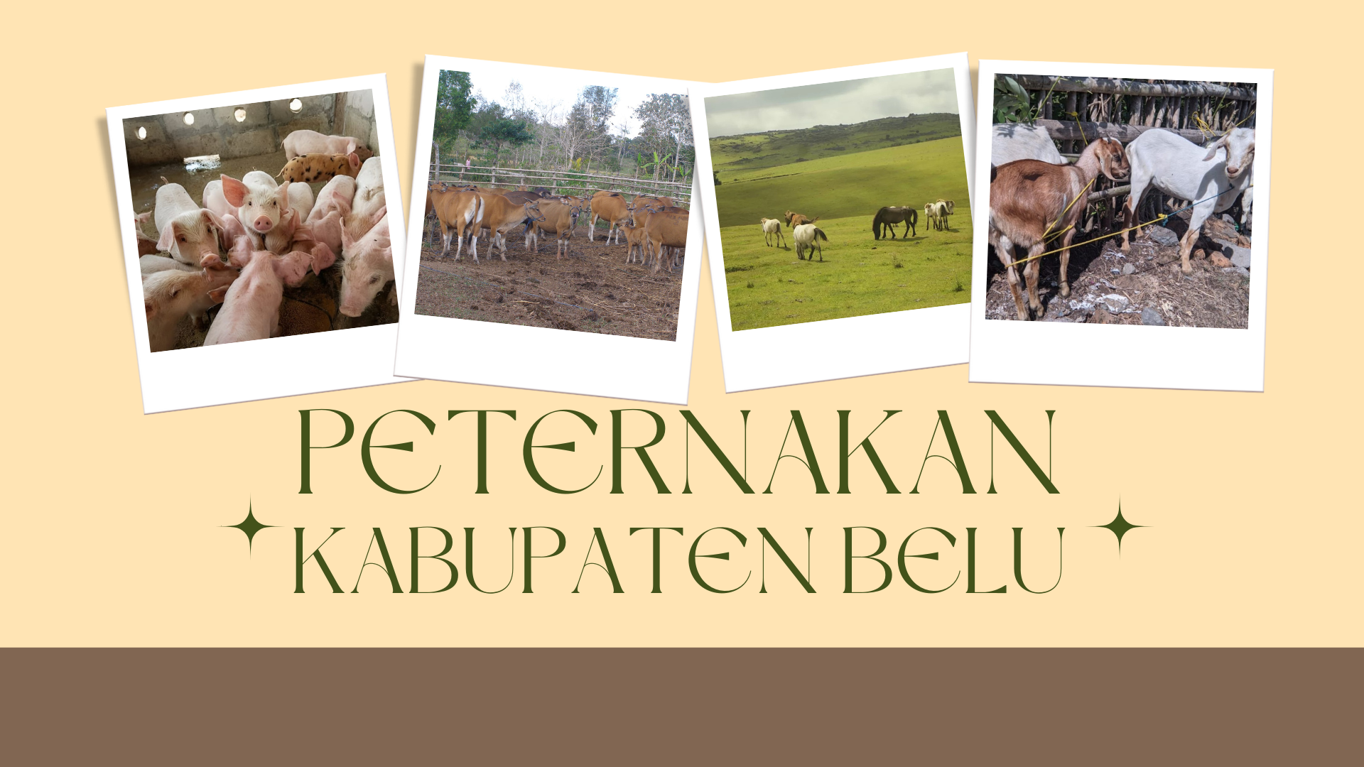 Hijau Putih Estetik Presentasi Peternakan Hijau Putih Estetik Presentasi Peternakan