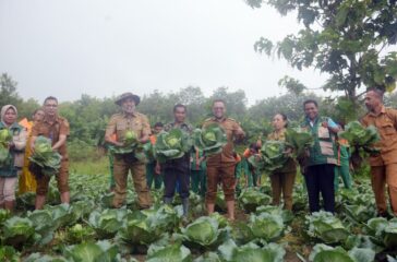 WhatsApp Image 2026-01-20 at 21.02.35 (1)