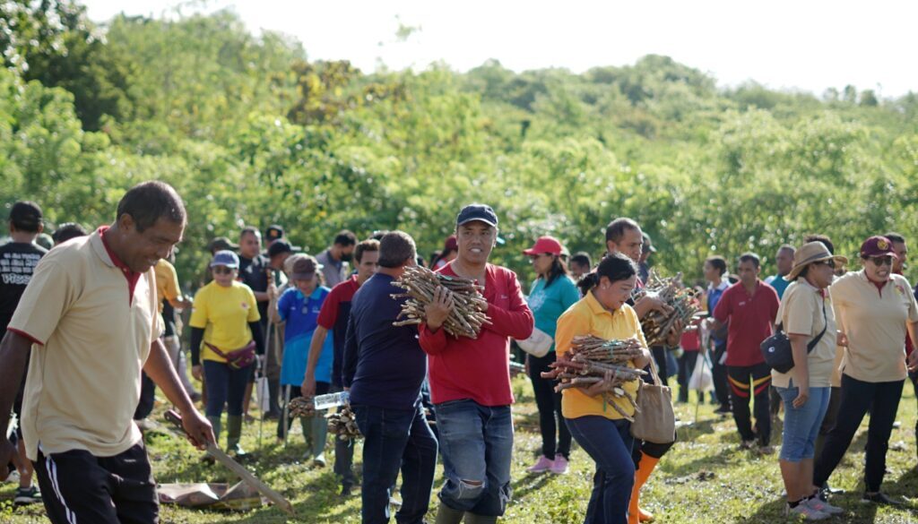 WhatsApp Image 2026-01-30 at 12.41.04