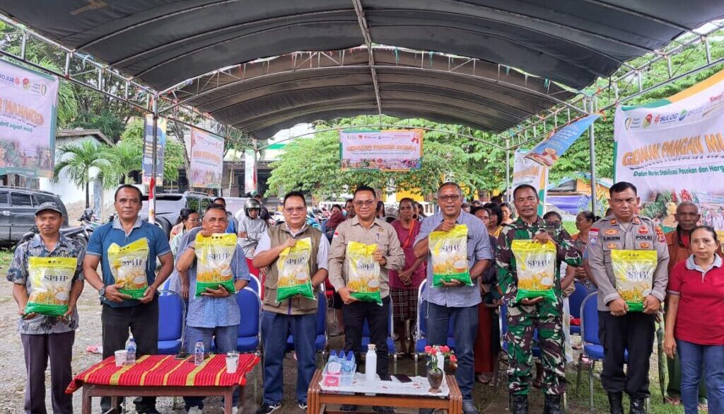 WhatsApp Image 2026-02-13 at 11.43.49