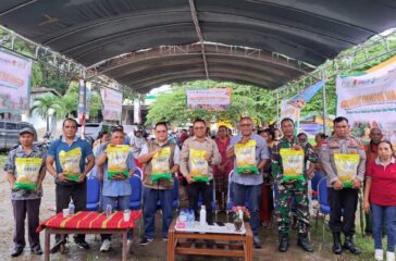 WhatsApp Image 2026-02-13 at 11.43.49