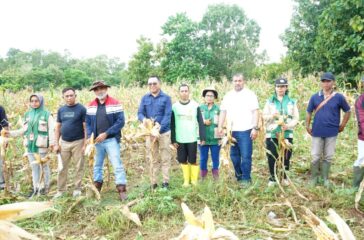 WhatsApp Image 2026-03-14 at 11.49.16