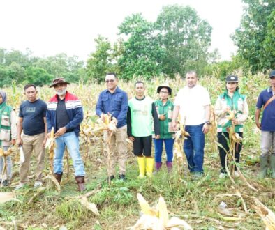 WhatsApp Image 2026-03-14 at 11.49.16