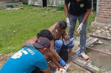 WhatsApp Image 2026-03-16 at 14.59.21