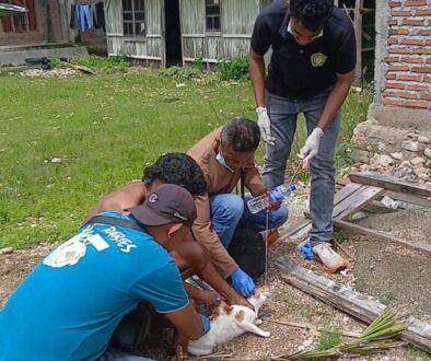 WhatsApp Image 2026-03-16 at 14.59.21